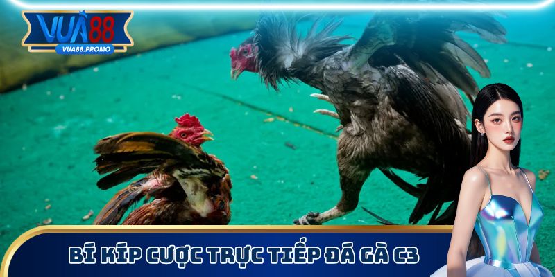 Bí kíp đặt là trúng có thể bạn chưa từng nghe qua