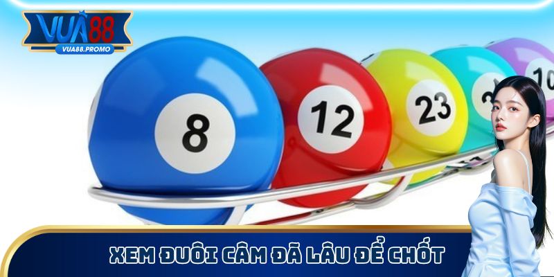 Thống kê đuôi câm chọn số