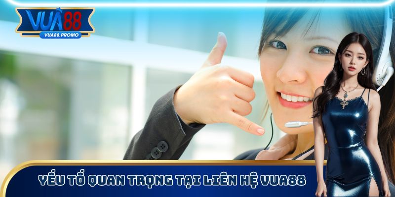 Yếu tố quan trọng tại liên hệ Vua88